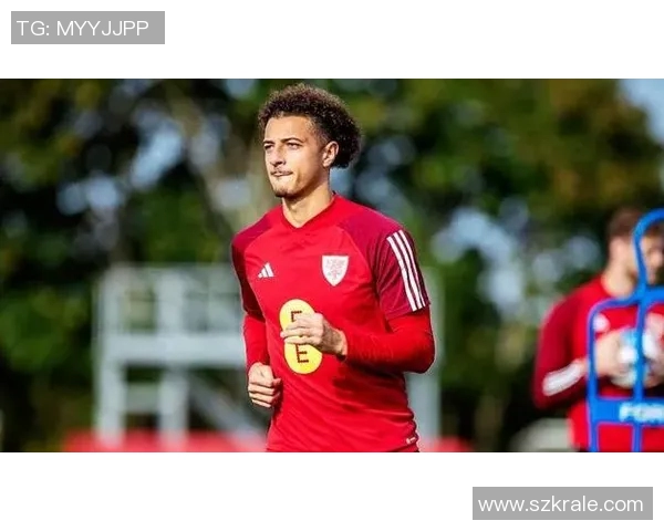 瑞士与直布罗陀足球赛前瞻分析及胜负预测展望